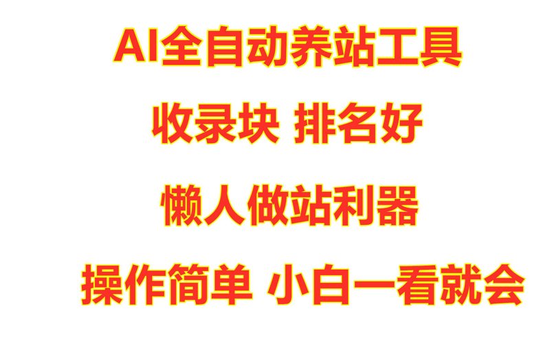 站群程序：推动网站构建的新引擎