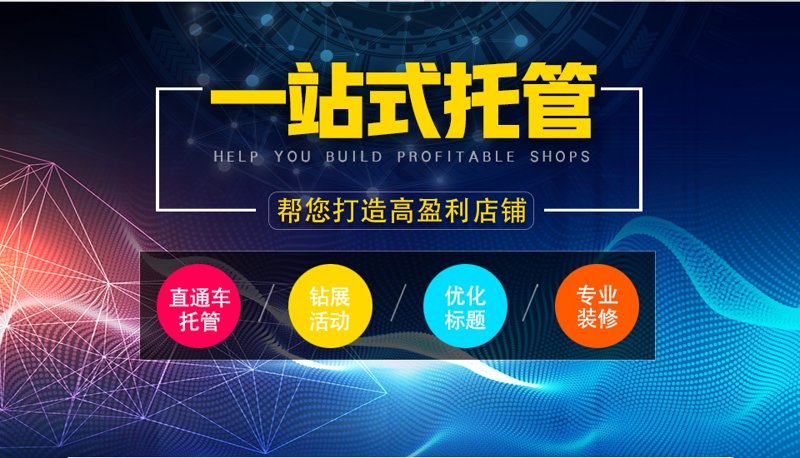 揭开AI站群程序的秘密：构筑网站联盟的新篇章